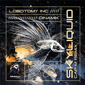 Listen to Skyliquid (Cap-M Remix) song with lyrics from Lobotomy Inc