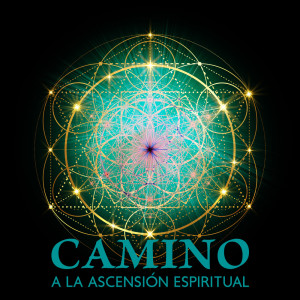 Album Camino a la Ascensión Espiritual (Música para Momentos de Profunda Meditación y Contemplación, Disciplina Zen) from 