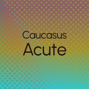 Various的专辑Caucasus Acute