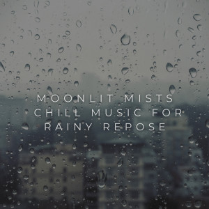 อัลบัม Moonlit Mists: Chill Music for Rainy Repose ศิลปิน Evening Chillout Playlist