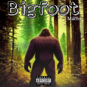 DJ Macro的專輯Bigfoot