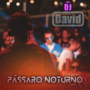 Dj David的專輯Pássaro Noturno
