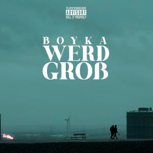 Listen to werd groß song with lyrics from Boyka