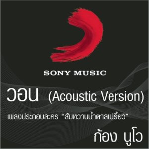 ดาวน์โหลดและฟังเพลง วอน (Acoustic Version Ost. ส้มหวานน้ำตาลเปรี้ยว) พร้อมเนื้อเพลงจาก Saharat Sanguapricha