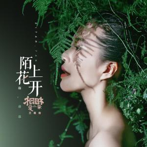 收听谭维维的陌上花开（电影《相爱相亲》主题曲）歌词歌曲