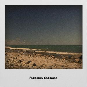 Album Pleasing Cardinal from Various