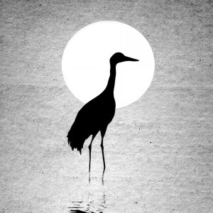 收聽楊藺的諾尼木倫歌詞歌曲