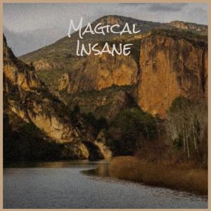 Various Artists的專輯Magical Insane