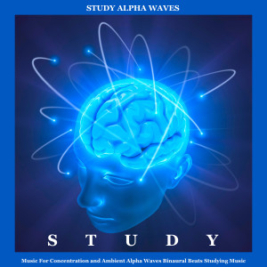 ดาวน์โหลดและฟังเพลง Brainwave Study Alpha Waves พร้อมเนื้อเพลงจาก Study Alpha Waves