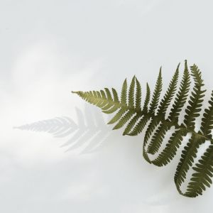 收聽Sleep Waves的Soothing Melodies歌詞歌曲