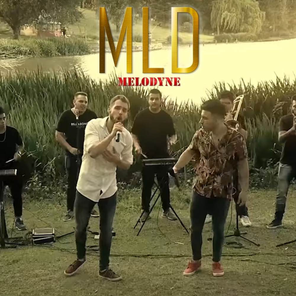 Hitazos (En vivo)