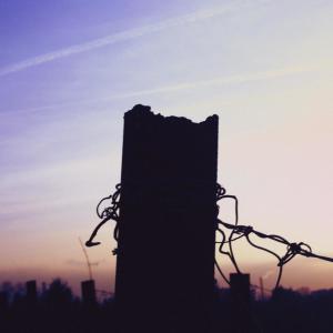 Listen to Wintermusik song with lyrics from Woolookologie
