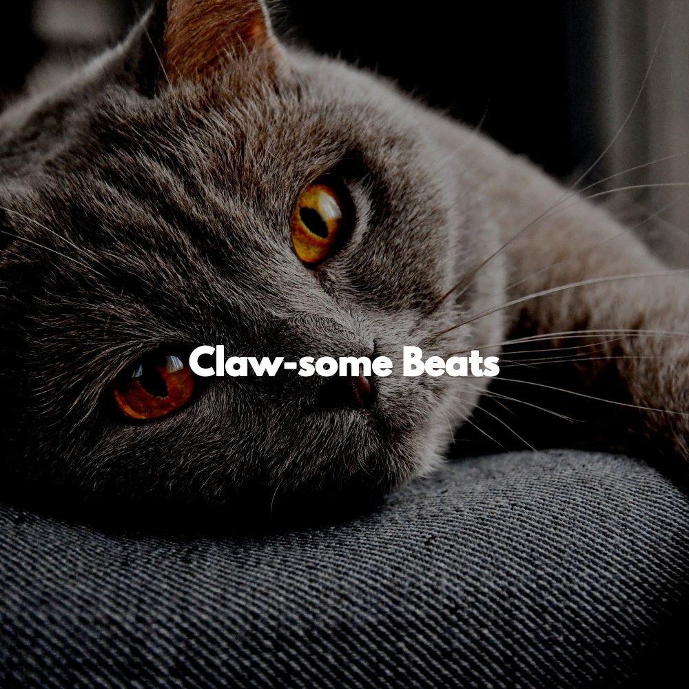 Happening Ambiance for Moody Kittens