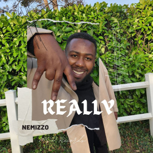 Listen to Really (Explicit) song with lyrics from Nemizzo