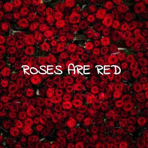收听Bobby Vinton的Roses Are Red歌词歌曲