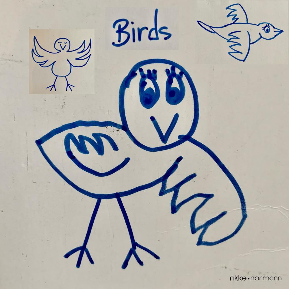 Birds