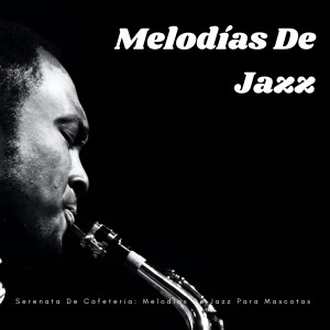 ดาวน์โหลดและฟังเพลง Salón De Ensueño Con Sonidos De Café Para Mascotas พร้อมเนื้อเพลงจาก Cafetería capuchino