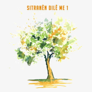Album Sitranên Dilê Me, Vol. 1 from Various