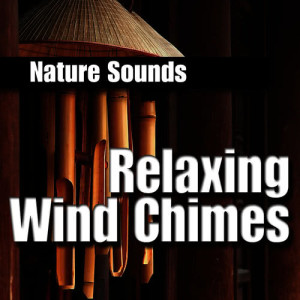 ดาวน์โหลดและฟังเพลง Tranquil Brass Wind Chimes พร้อมเนื้อเพลงจาก Nature Sounds
