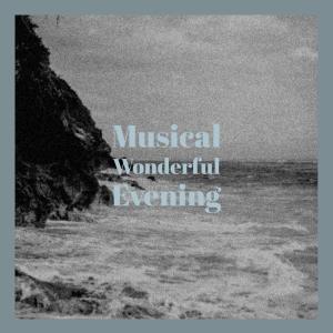 Various的专辑Musical Wonderful Evening