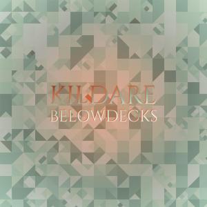 Album Kildare Belowdecks oleh Various Artists