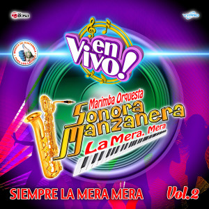 收聽Marimba Orquesta Sonora Manzanera的Tormenta de Amor (En Vivo)歌詞歌曲