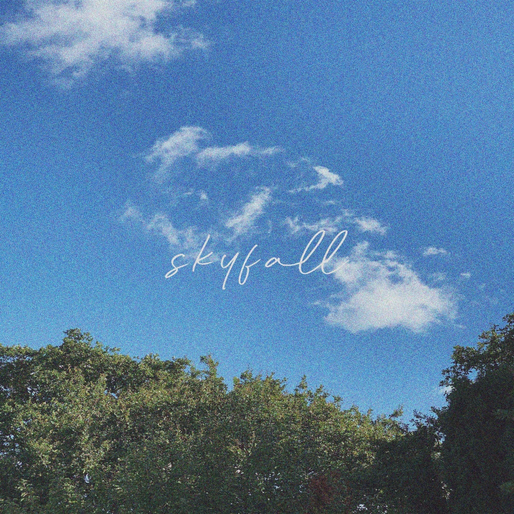 Skyfall (Explicit)
