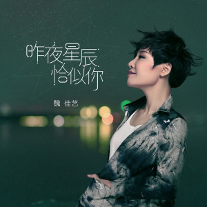 Listen to 昨夜星辰恰似你 song with lyrics from 魏佳艺