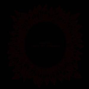 收聽Manatees的Out of the Sky, Into the Gutter歌詞歌曲