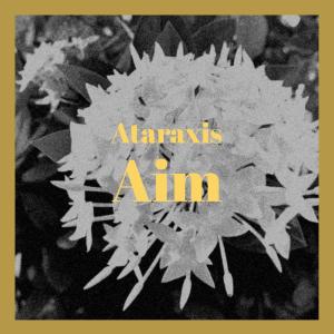 Various的专辑Ataraxis Aim