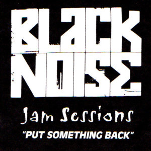 Black Noise的专辑Jam Sessions: Put Something Back