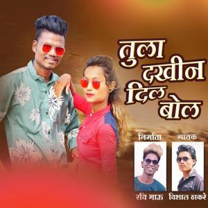Album Tula Dakhina Dil Bol from 