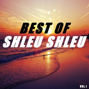 收聽Shleu Shleu的Martina歌詞歌曲