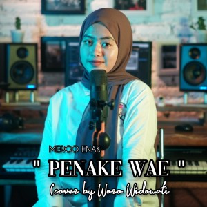 Listen to Penake Wae song with lyrics from Woro Widowati