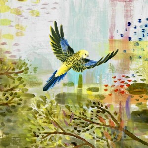 Album Into The Night from cln