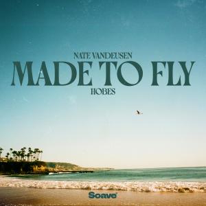 Album Made To Fly from Nate VanDeusen