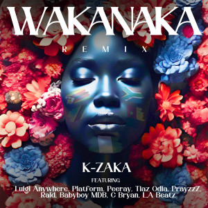 อัลบัม Wakanaka (feat. Peeray, Tiaz Odia, PrayzzZ, Rald, Babyboy MDB, C Bryan & LA Beatz) (Remix) ศิลปิน K-Zaka