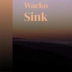 Album Wacko Sink from Various