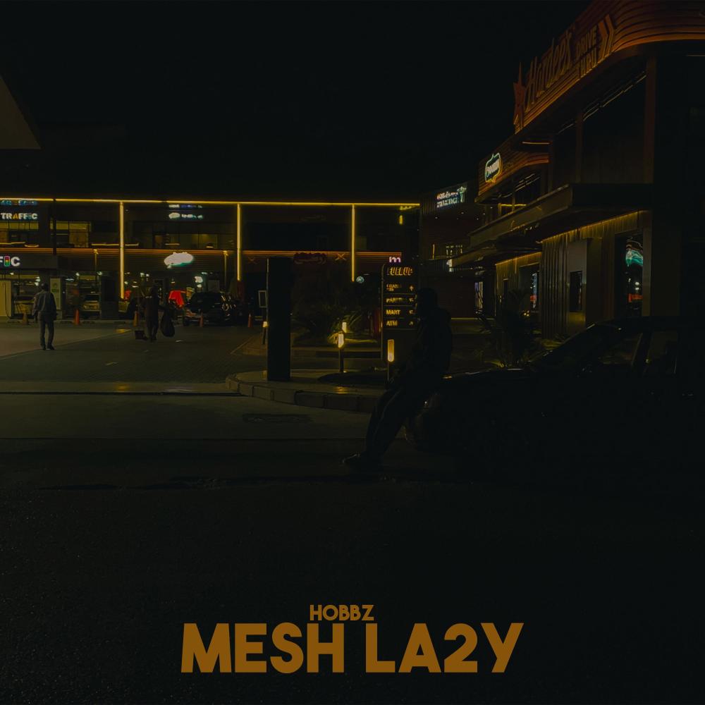 Mesh La2y