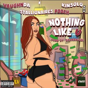 Nothing Like You (feat. Stallionaires Pooch) (Explicit) dari Kinsolo