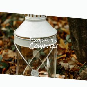 Album Exquisite Country from Various