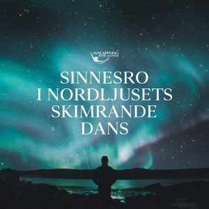 อัลบัม Sinnesro i Nordljusets Skimrande Dans ศิลปิน Avslappning Musik Akademi