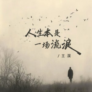 Listen to 人生本是一场流浪 (完整版) song with lyrics from 王淏