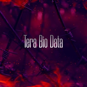 ดาวน์โหลดและฟังเพลง Tera Bio Data พร้อมเนื้อเพลงจาก Gulzaar Chhaniwala