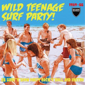 Listen to DO THE SURFER JERK song with lyrics from Various