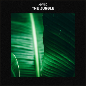 ดาวน์โหลดและฟังเพลง The Jungle พร้อมเนื้อเพลงจาก MVNIC