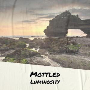 Listen to Mottled Luminosity song with lyrics from Janki Kada
