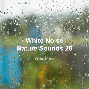 White Noise 28 (Rain Sounds, Bonfire Sound, Baby Sleep, Deep Sleep)