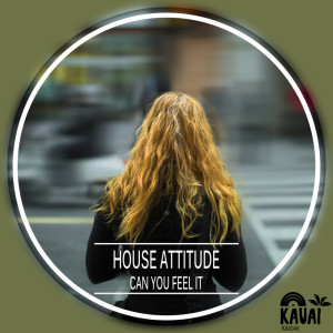 ดาวน์โหลดและฟังเพลง Can You Feel It (Jazzy Dub Mix) พร้อมเนื้อเพลงจาก House Attitude