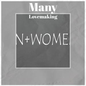 Various的专辑Many Lovemaking